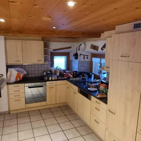 Wef Executive With Direct Train To Davos *